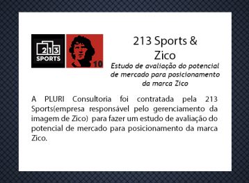 213 Sports - ZICO
